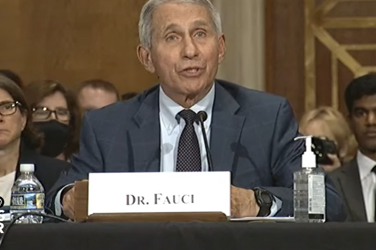 Fauci's In The Senate Today, And He Brought Purell