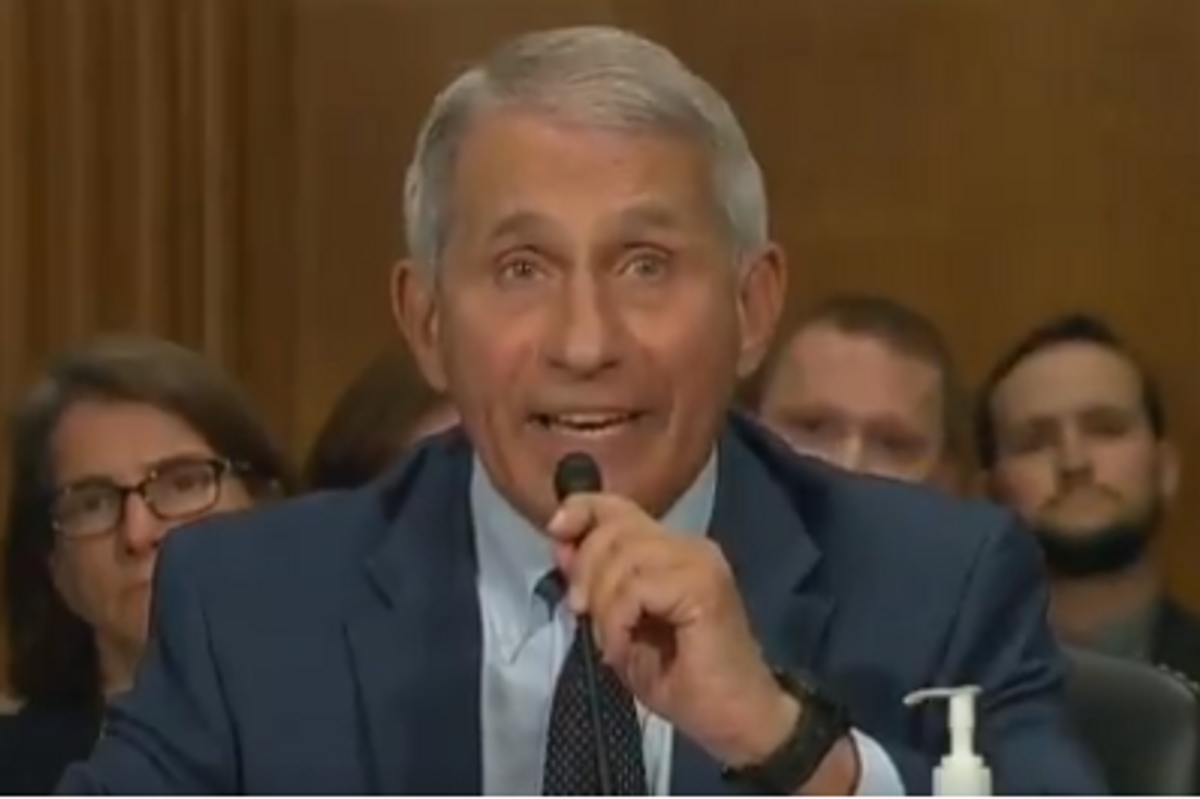 Here's Your Video Of Dr. Fauci Pants-ing Rand Paul And Calling Him A Liar