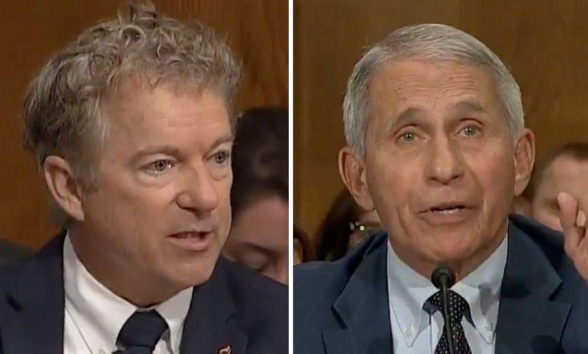 Dr. Fauci Unloads on Rand Paul After Paul Accuses Him of Lying to Congress in Tense Senate Hearing
