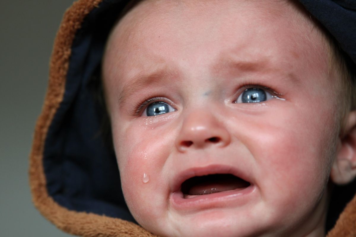 Federalist Writer Shares Incredible Trauma Of Learning 'Critical Race Theory' In School