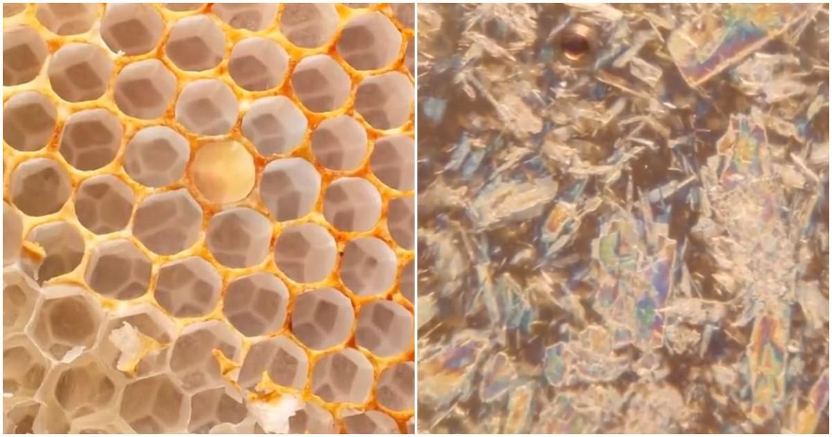 Incredibly satisfying video zooms deep inside a honeycomb cell