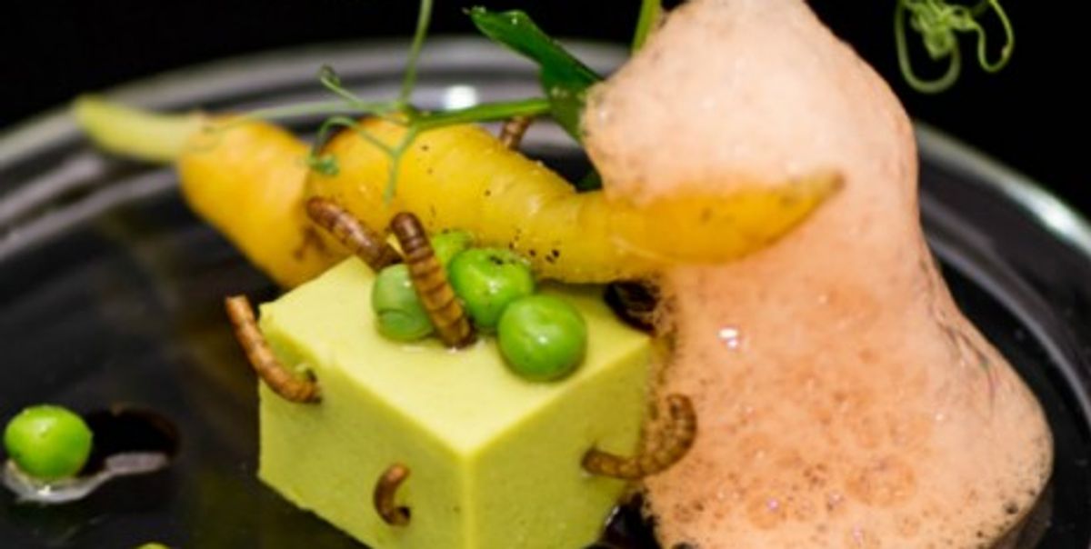 This Culinary Movement Has Legs: Insects On The Menu - Vimarsana News