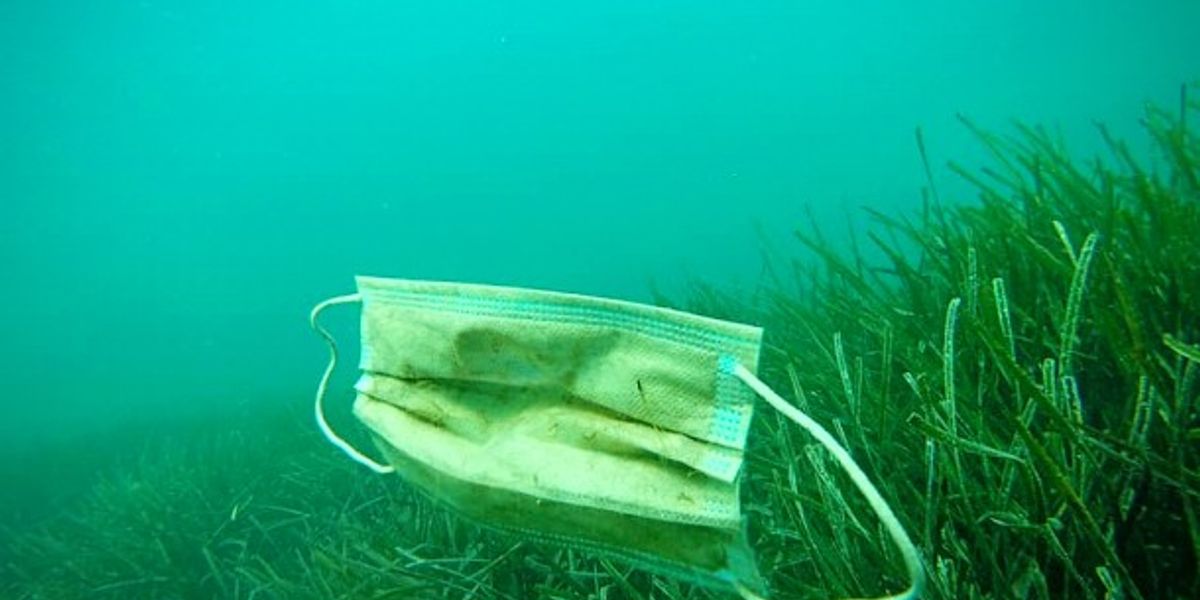 The Pandemic And The Perilous Return Of Plastic - Vimarsana News