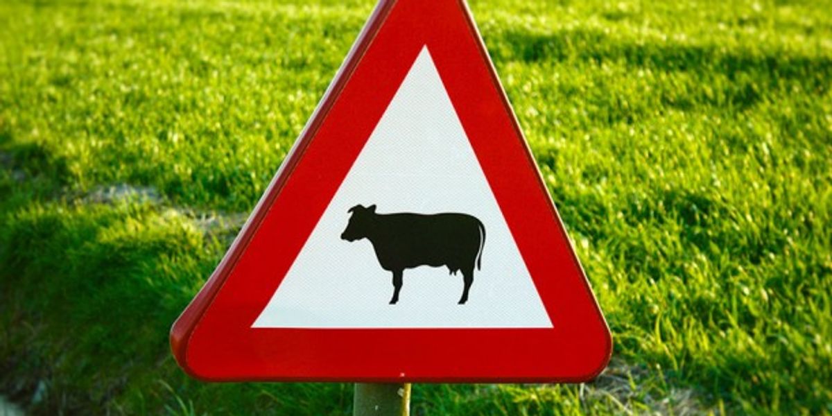100% Vegan: A Tempting But Misguided Recipe To Save The Planet - Vimarsana News