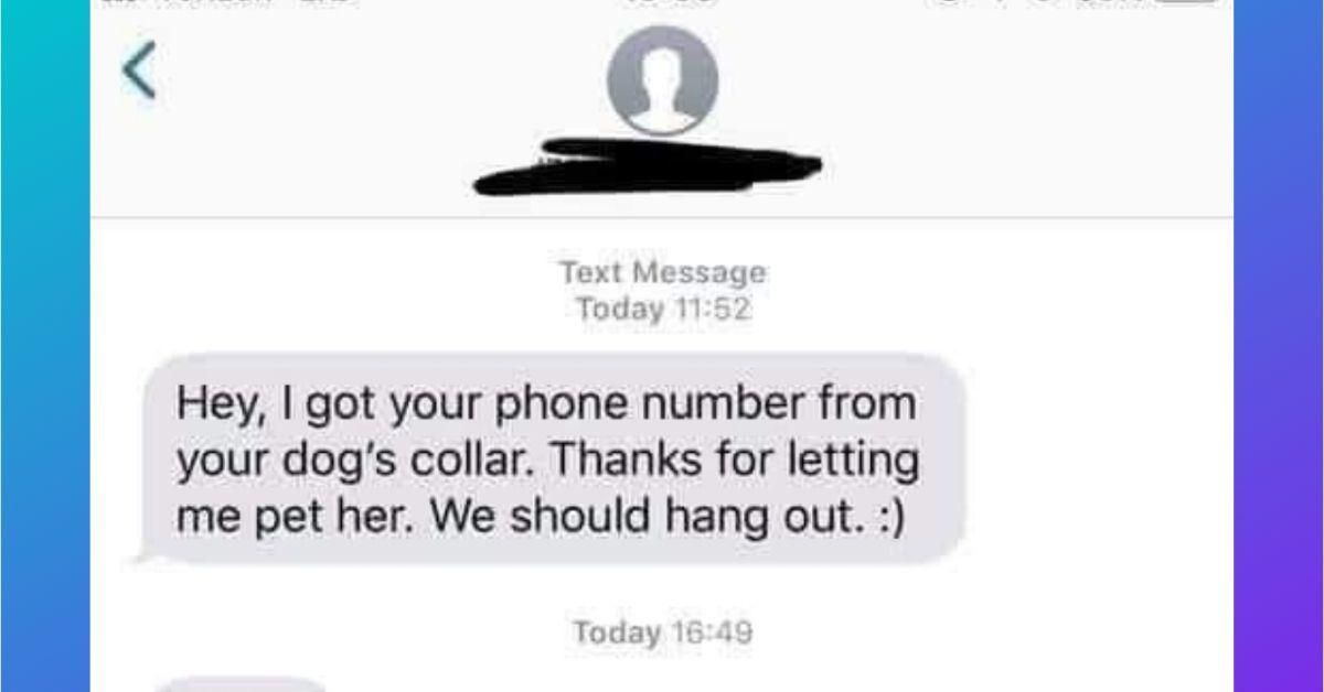 Dog Owner Creeped Out After Stranger Gets Phone Number Off Dog's Collar And Sends Texts