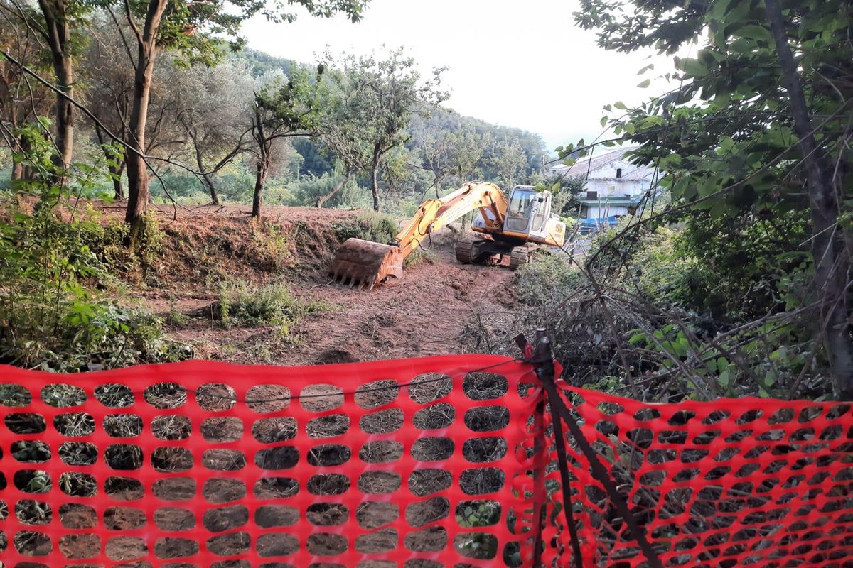 A Cava dei Tirreni il sindaco amico di De Luca sta devastando un bosco. E gli ambientalisti tacciono
