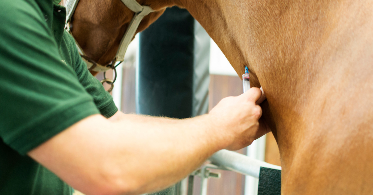 Anti-Vaxxers Are Poisoning Themselves By Taking Copious Amounts Of Horse Deworming Meds To Treat Virus