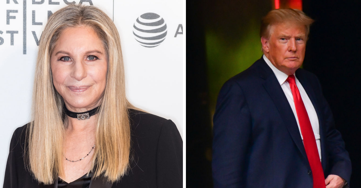Barbra Streisand Explains The One Thing That Should Be Shown 'Every Day On TV' To Shut Down Trump