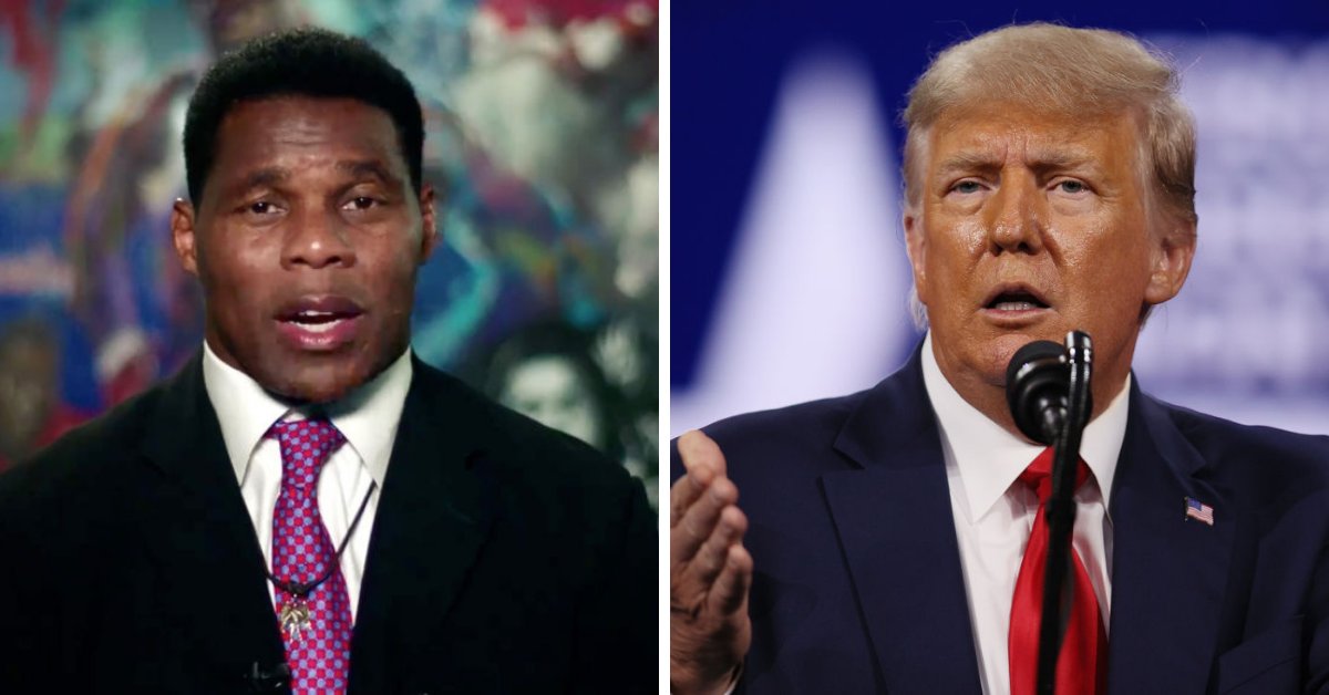 Turns Out Pro-Trump Football Star Herschel Walker's Wife Voted In Georgia Despite Living In Texas