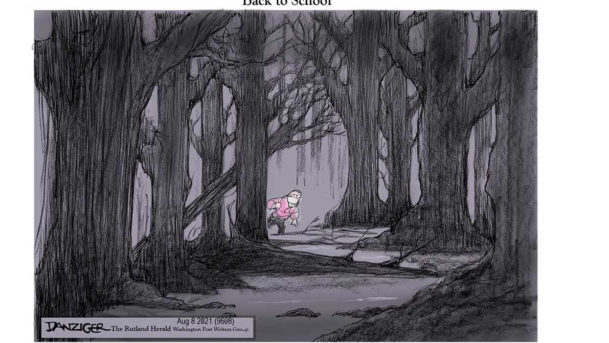 Danziger Draws