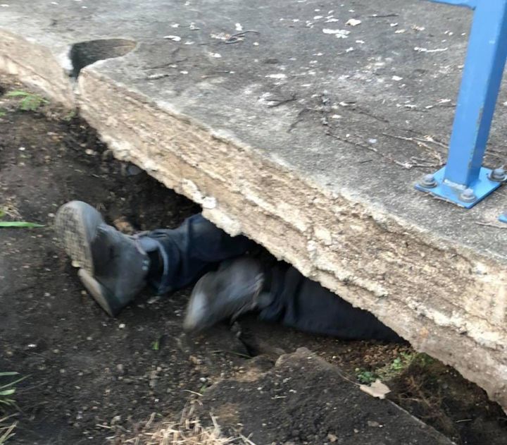 Man Crawls Under Sidewalk to Rescue 6 Kittens So They Can Have Better Lives