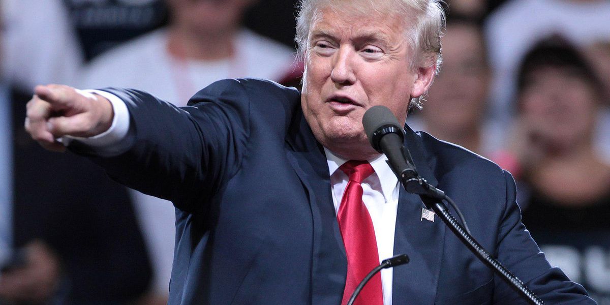 Secret IRS Files Show How Trump Tax Cut Greased The Super-Rich - Vimarsana News