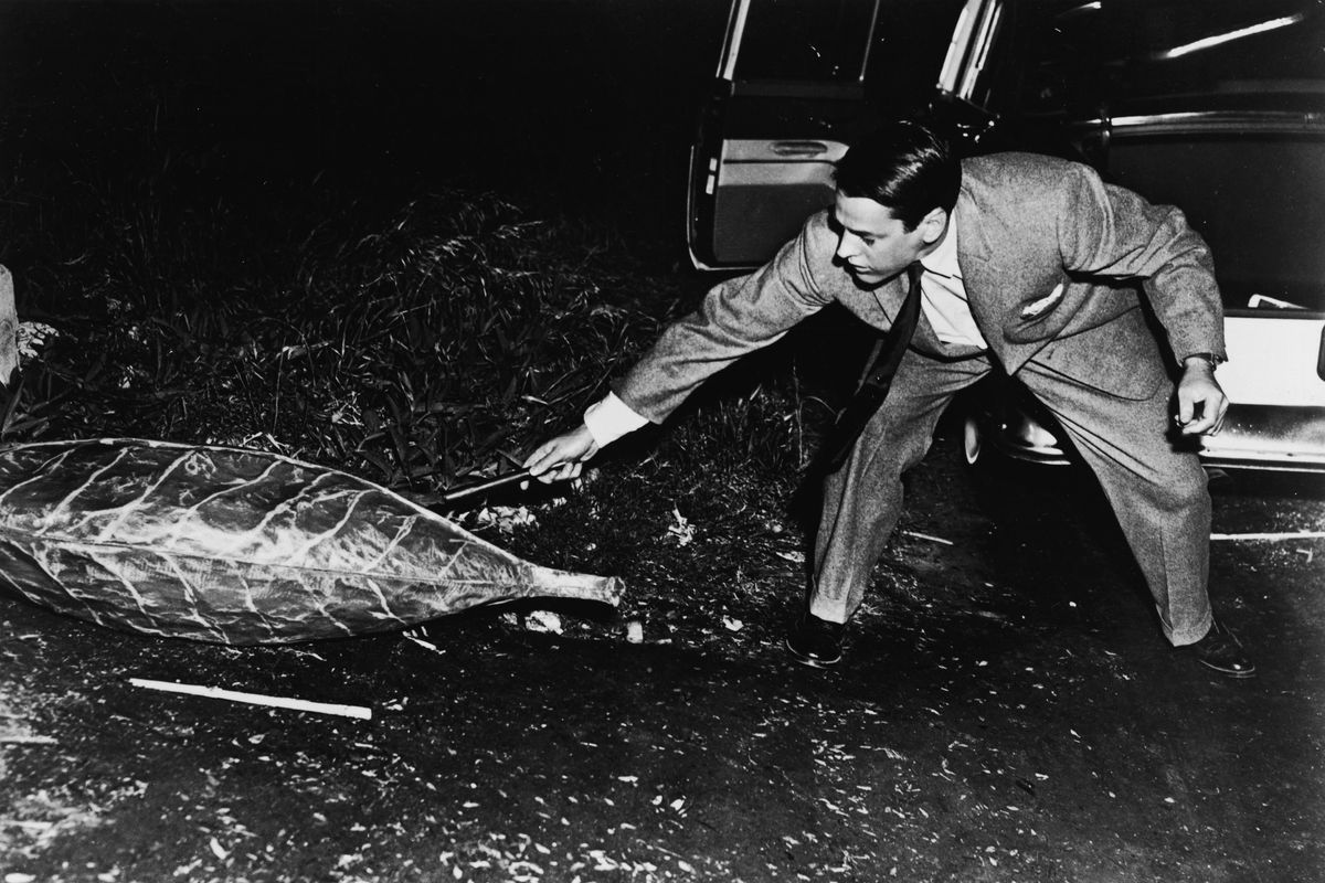 Ultracorpi, alieni e guerre simulate: dal complotto al grande schermo