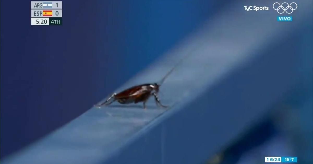 Olympics Viewers Baffled After Camera Operator Cuts Away From Field Hockey To Film A Cockroach
