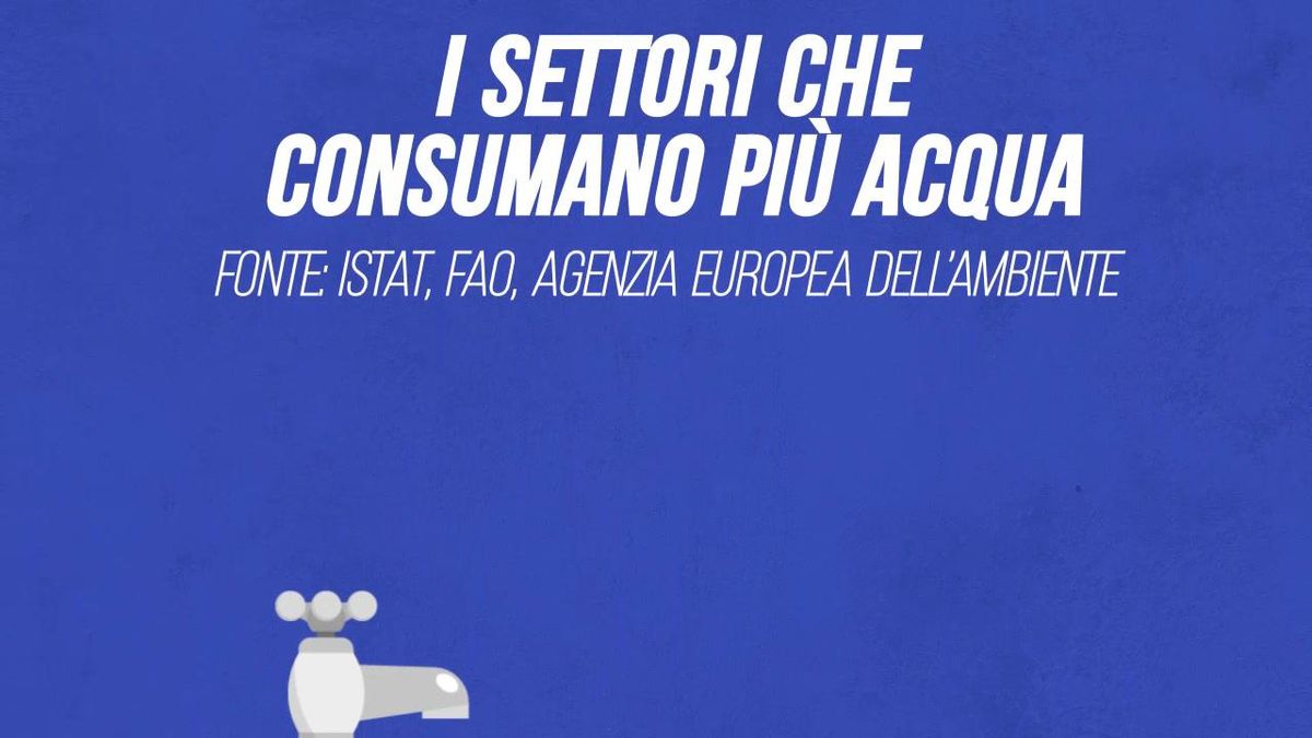 I settori che consumano più acqua