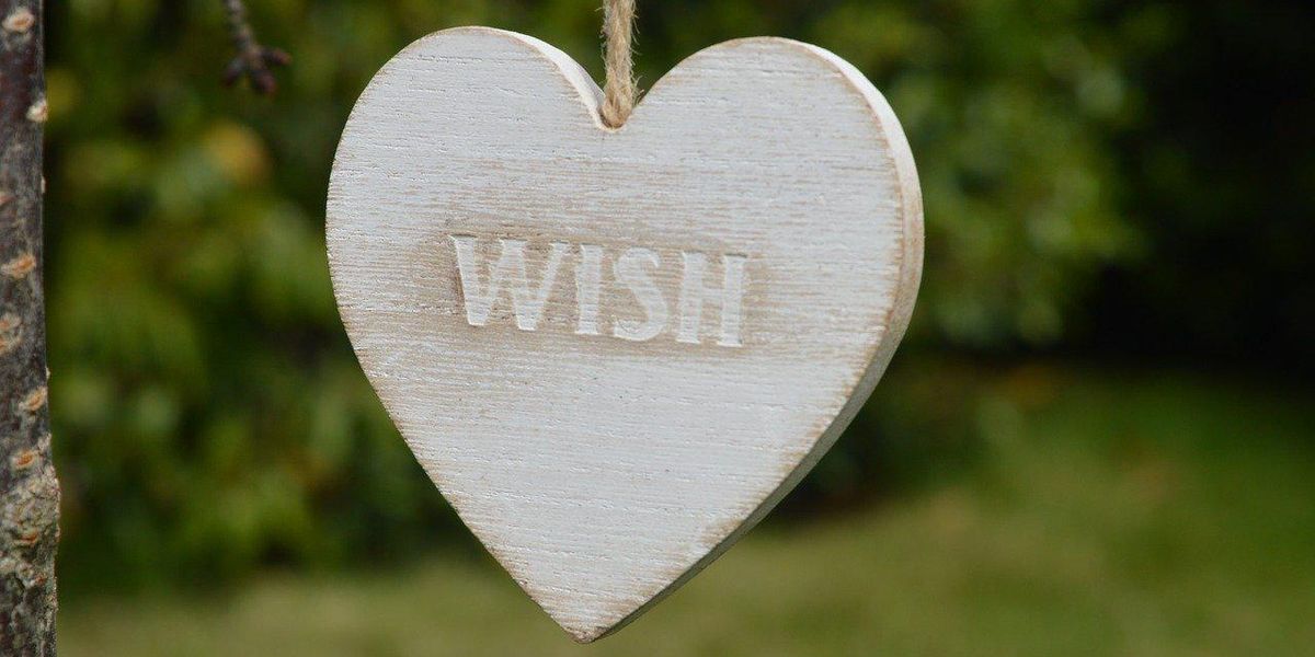 Make-A-Wish Employees Share The Strangest Requests That Were Actually Granted