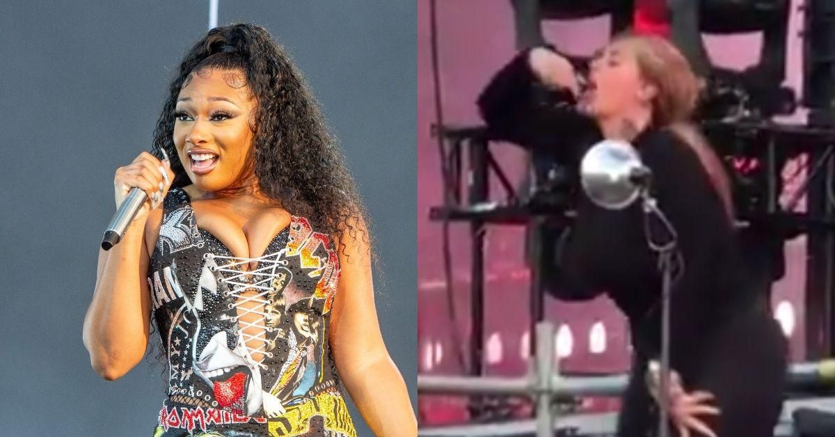 Fans Are Losing It Over Sign Language Interpreter's Enthusiastic Rendition Of 'WAP' At Lollapalooza
