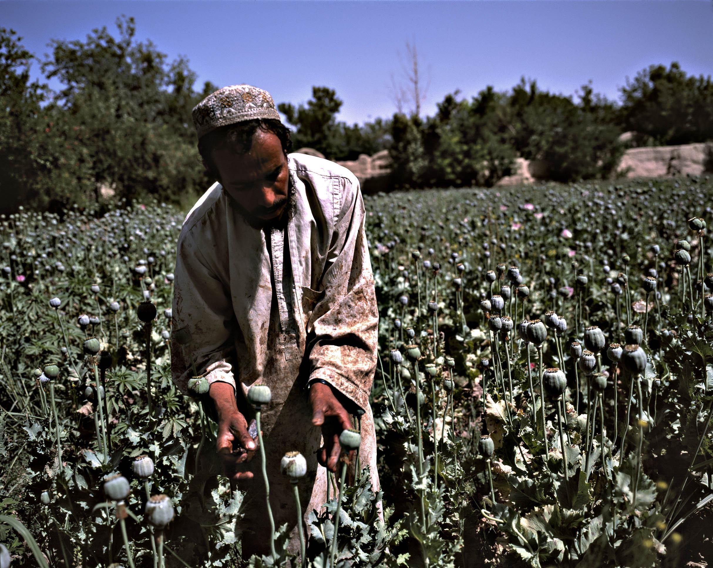 finanza talenabi afghanistan oro droga miniere