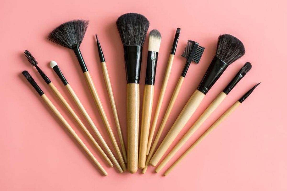 How to Use Every Type of Makeup Brush