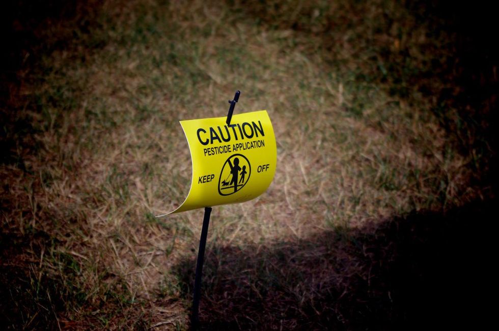 pesticide lawn care