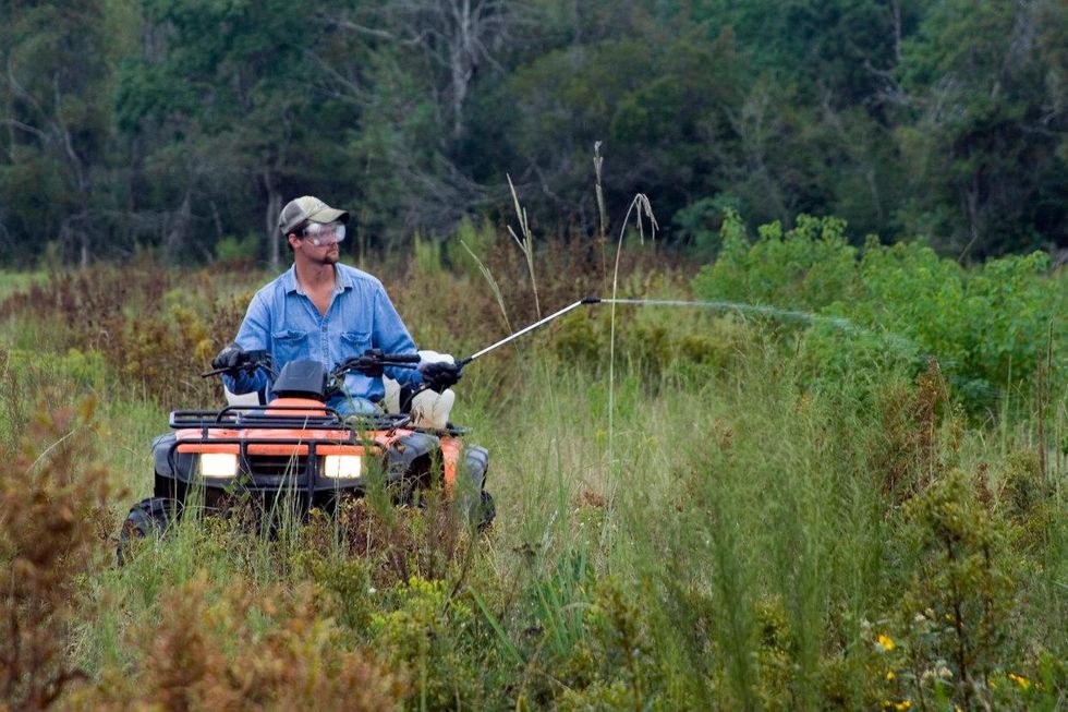 pesticide weeds