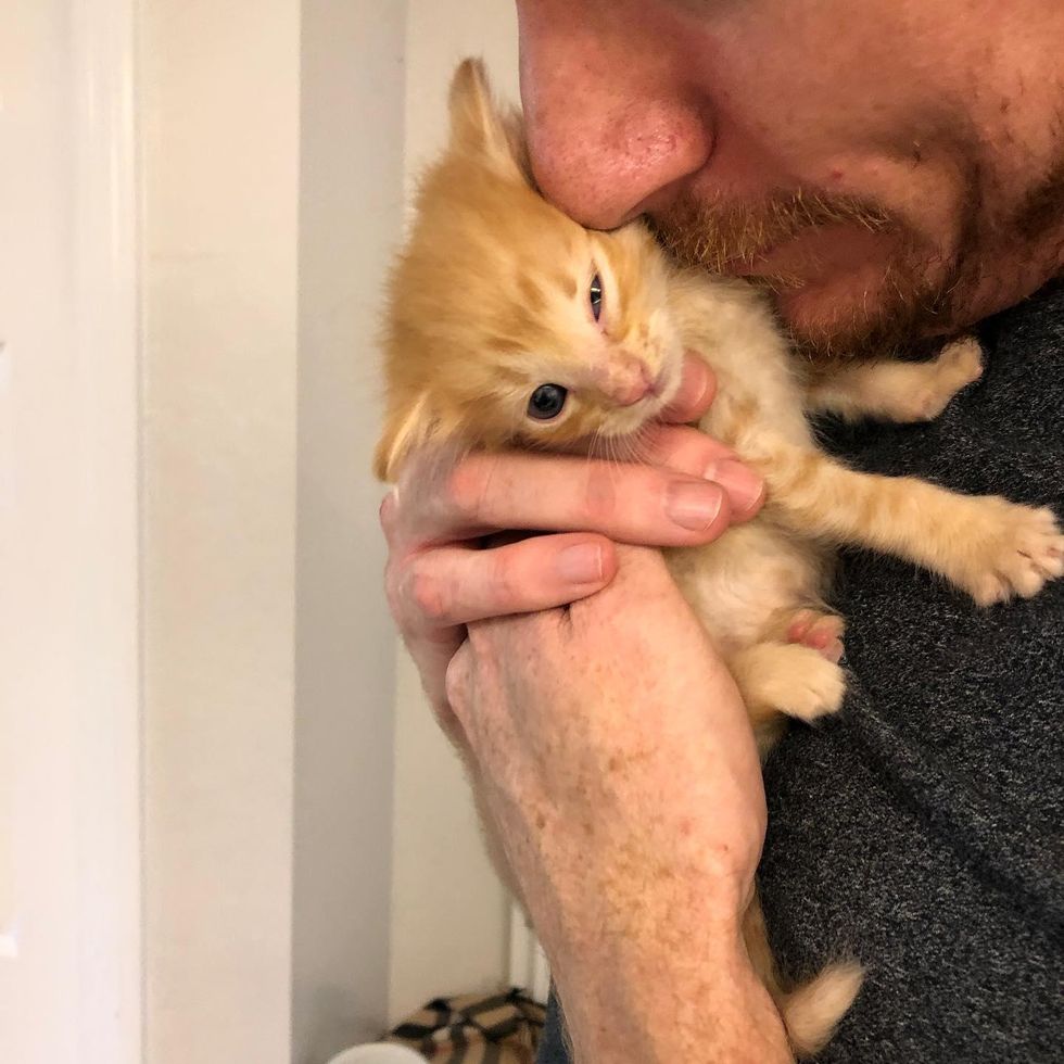 man cuddling kitten