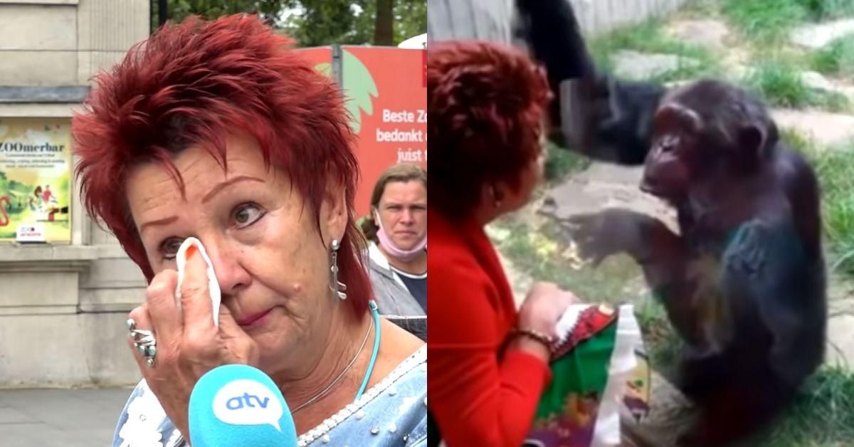 Woman Banned From Zoo After Having 'Affair' With Chimpanzee: 'I Love That Animal, And He Loves Me'