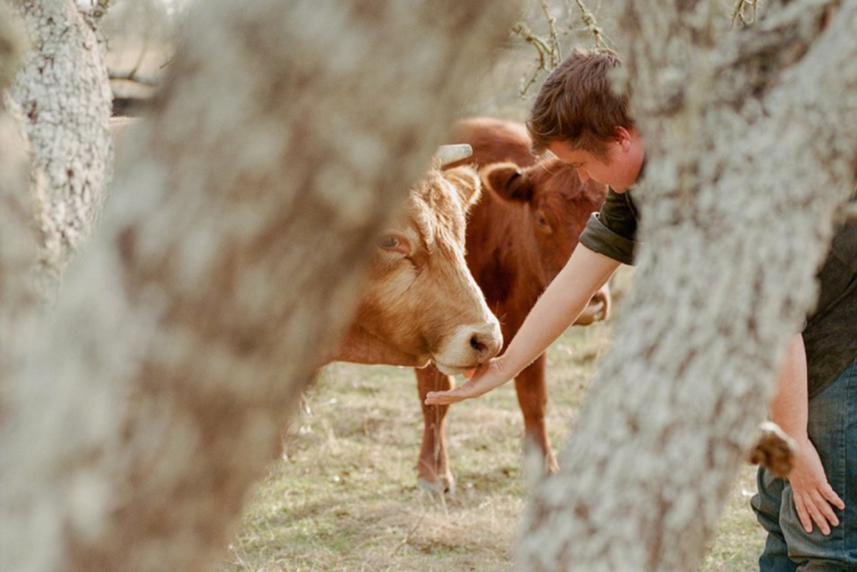 Local ranchers report 'significant' success from using TikTok