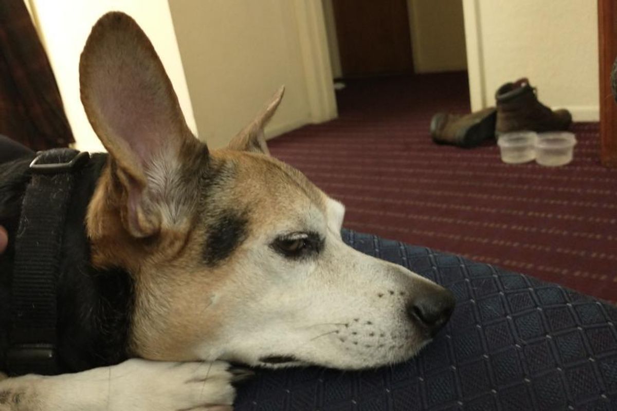 Wonkette's Top Ten Stories Of The Week All Think You Look Super Pretty This Morning