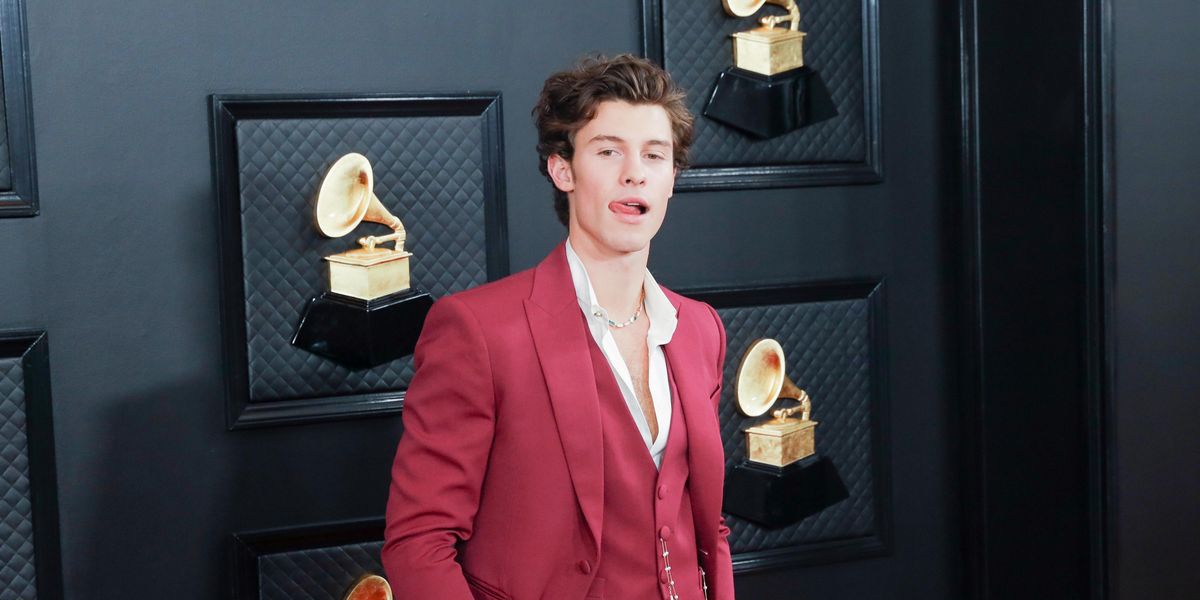 Shawn Mendes Apparently Talks Dirty in His Sleep