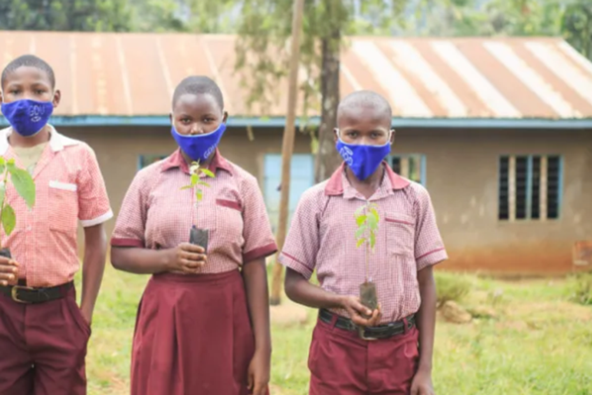 Here's why a tree is planted in Uganda every time a baby is born 9,000 miles away