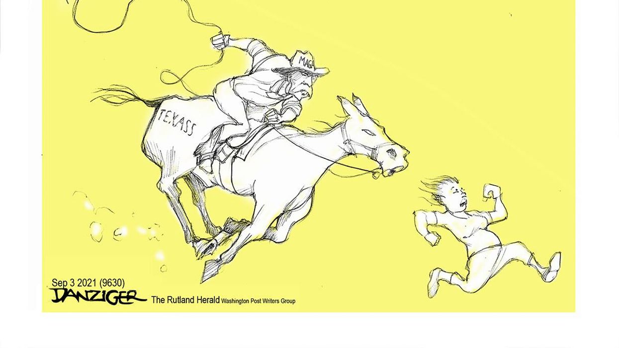Danziger Draws