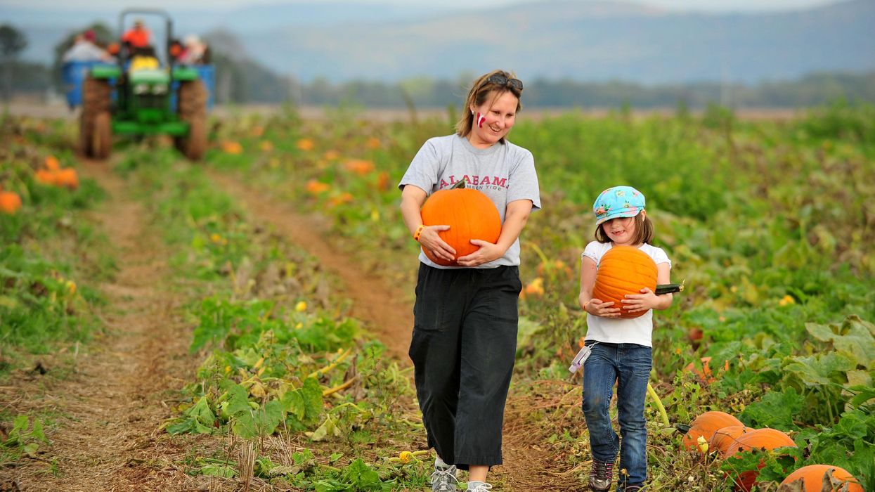 10 things every Southerner has done on Halloween