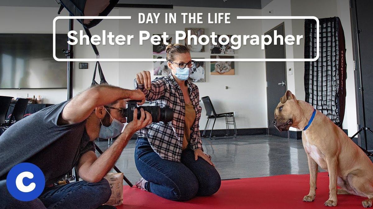 Chewy spotlights the photographers who help pets get adopted
