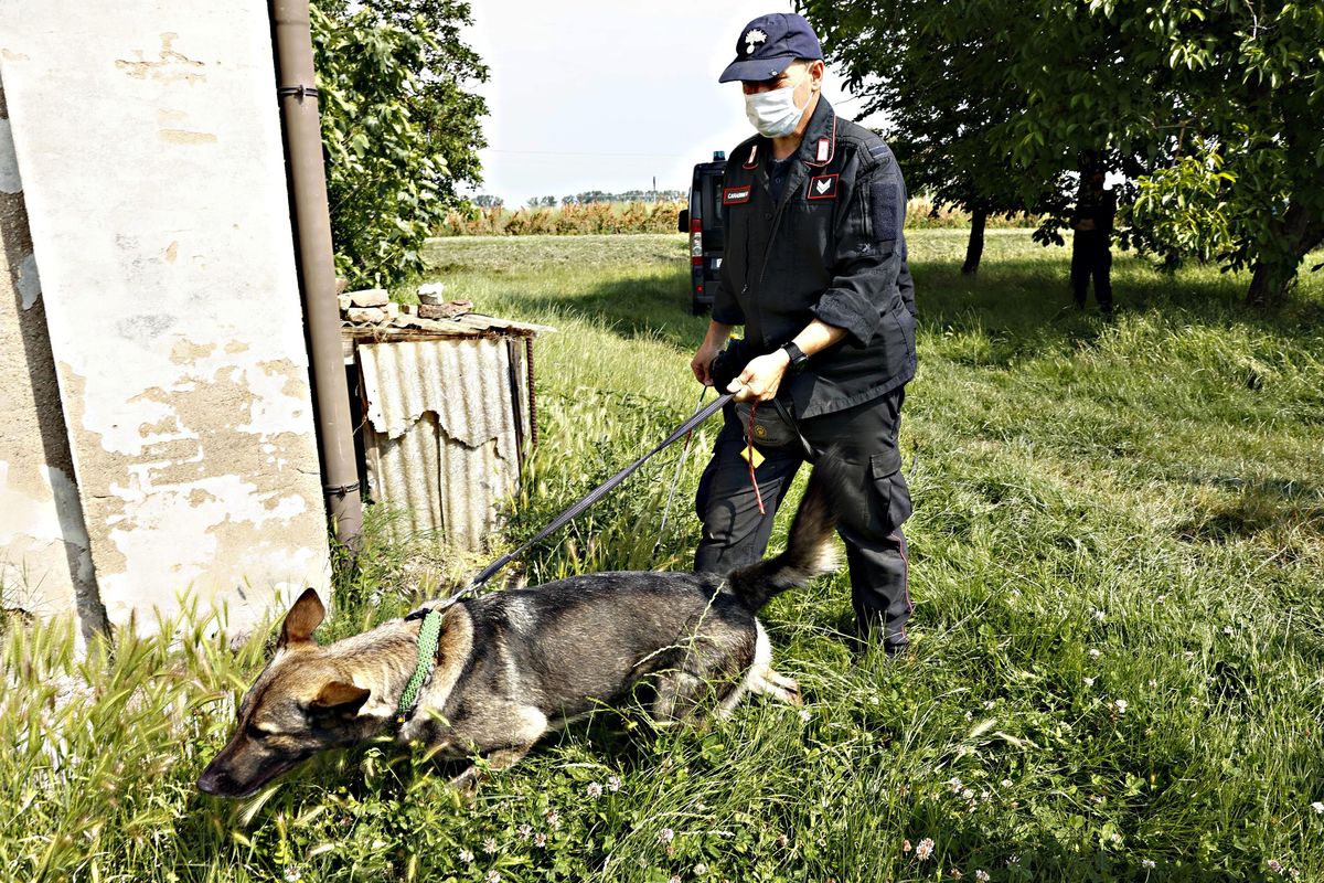 La soluzione del giallo dei 6 minuti: per Saman la fossa era già pronta
