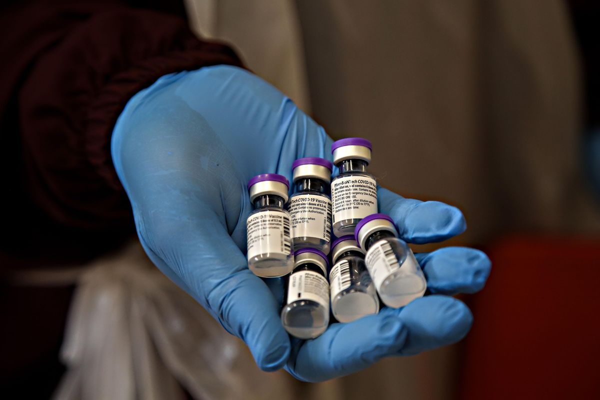 Biontech punta ai bimbi da 5 a 11 anni. Fda frena: «Ci vogliono altri studi»