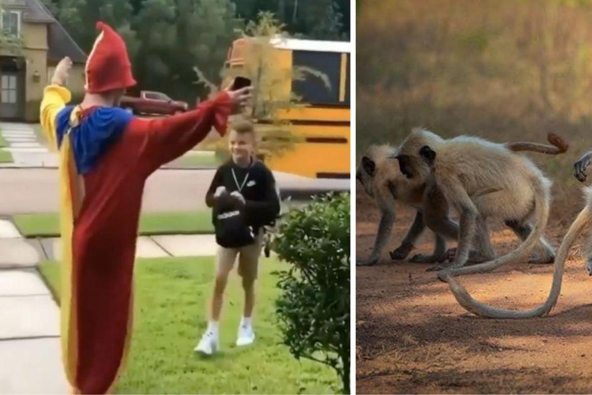 10 things that made us smile this week