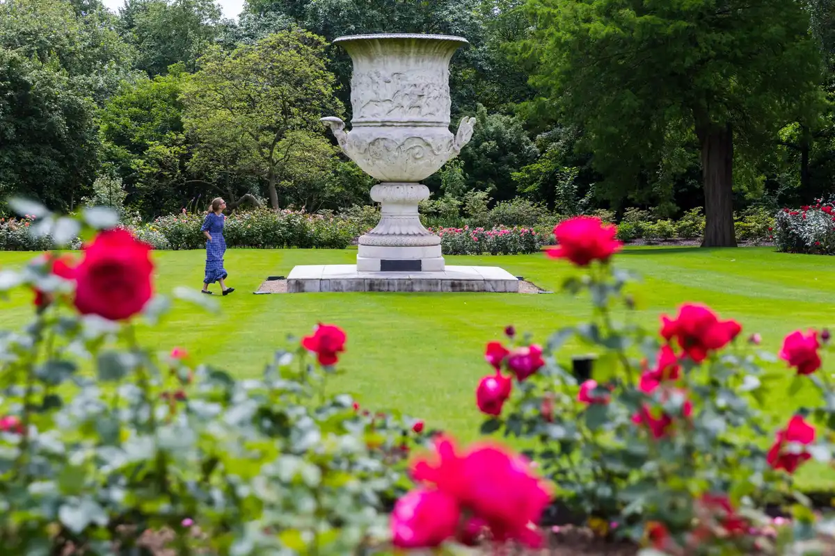 Il mago inglese delle rose da giardino grazie alla genetica ha creato 200 varietà