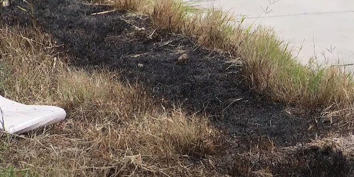 Three ‘heavily dismembered’ bodies found in burning dumpster in Texas, including a female and a child Three ‘heavily dismembered’ bodies found in burning dumpster in Texas, including a female and a child