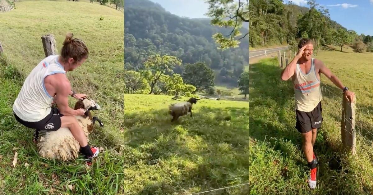 Former Rugby Player Becomes Viral Sensation After Rescuing Sheep Trapped In Barbed Wire Fence