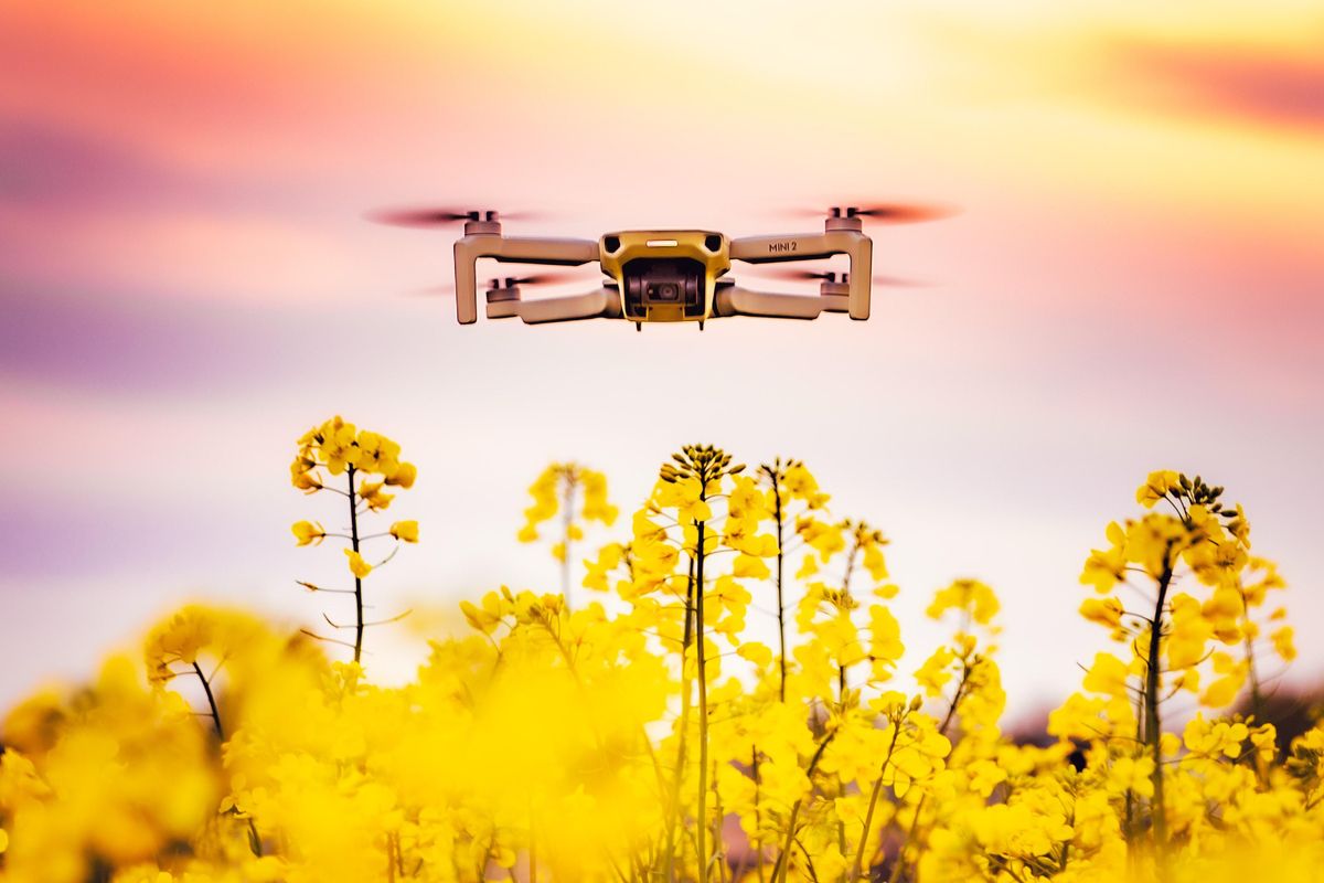 Bubble-dispensing drones aim to pollinate flowers