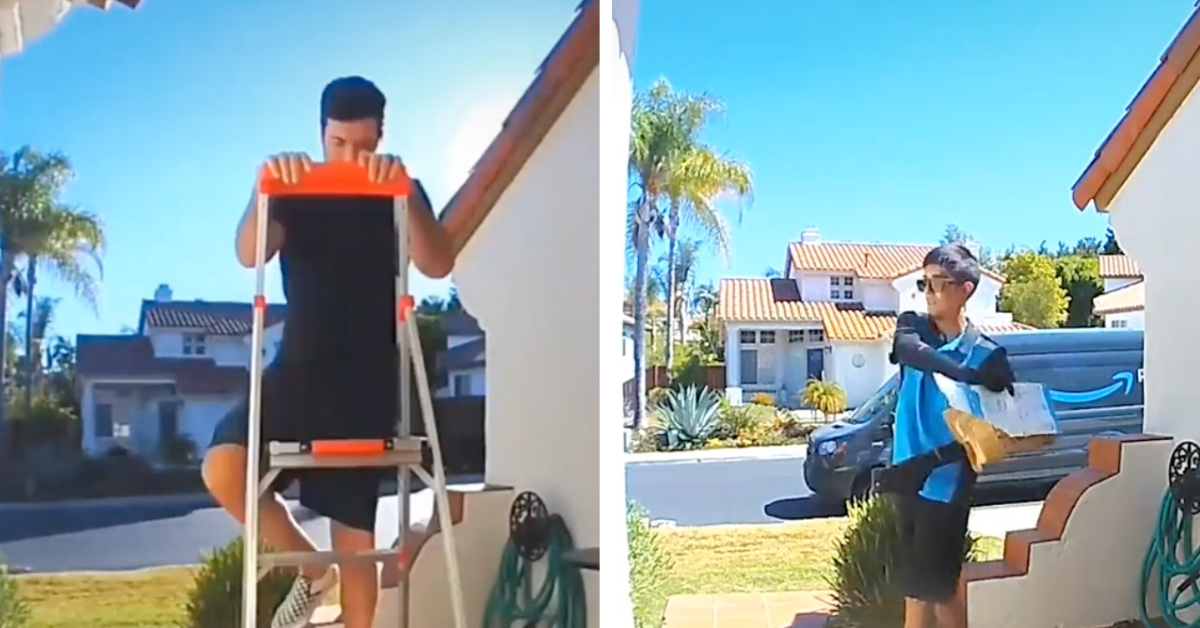 Amazon Driver Accidentally Tosses Package On Roof While Swatting Bug VIDEO Comic Sands