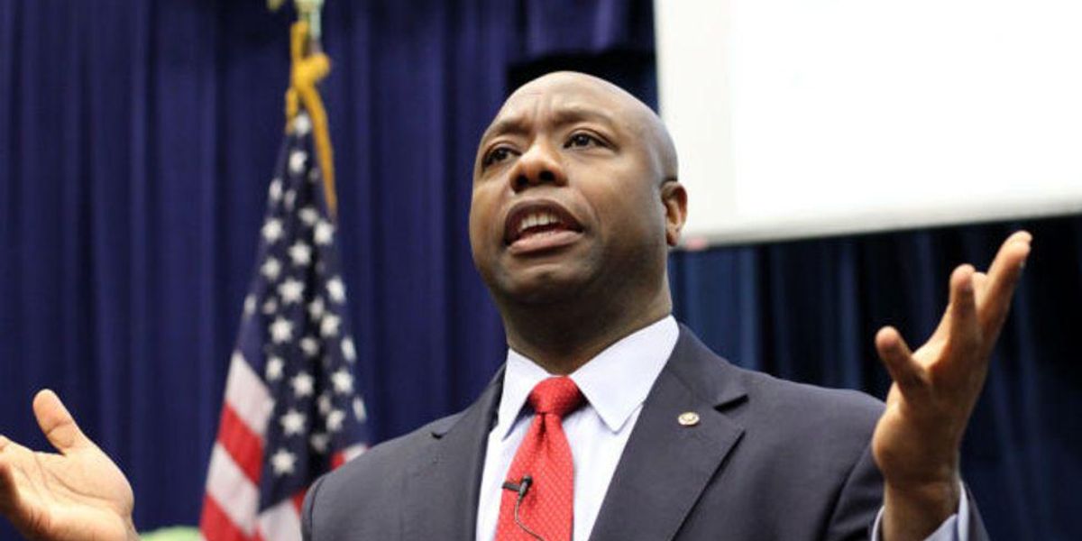 Is Bachelor Tim Scott Gay? Big Republican Donors Want To Know