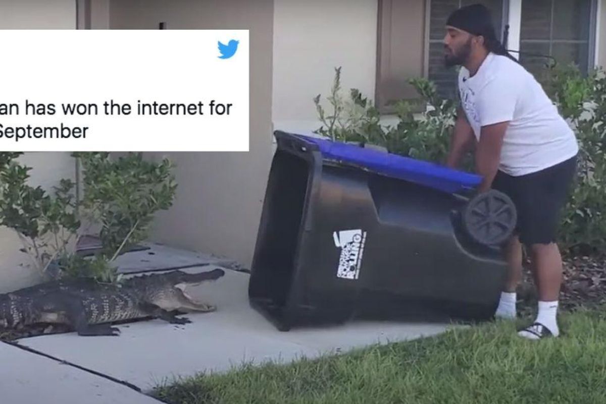 Florida man captured an alligator in his front yard using nothing but a recycling bin