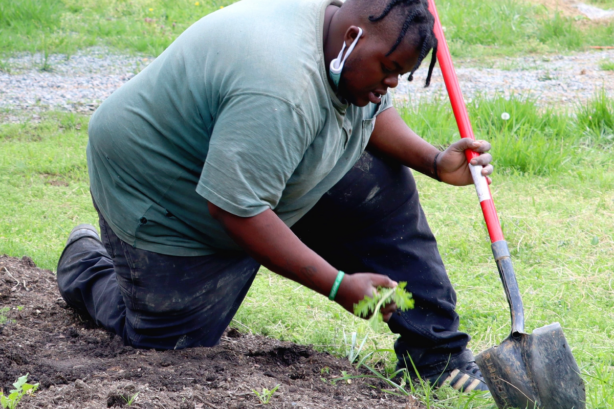 These organizations are planting trees to combat the "urban heat island effect" in Richmond