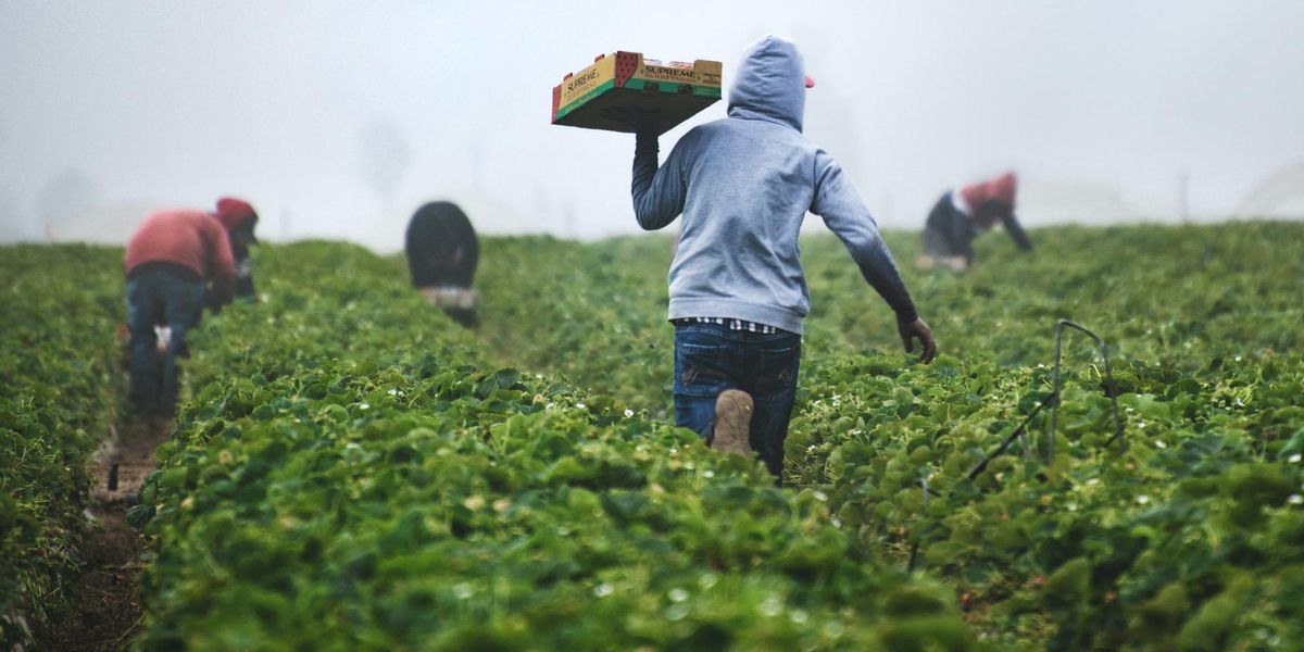 pesticide exposure