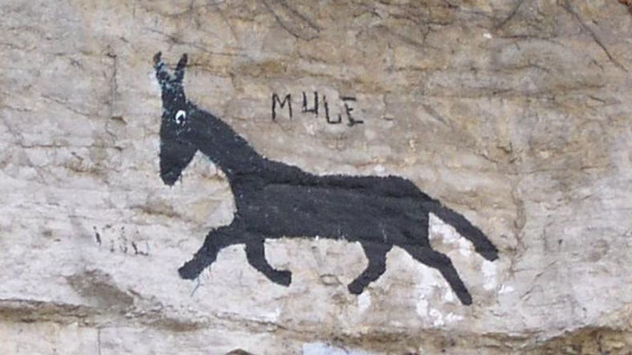 The mystery of Tennessee's 'million dollar' mule cliff painting