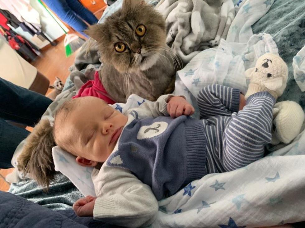 cat and tiny human