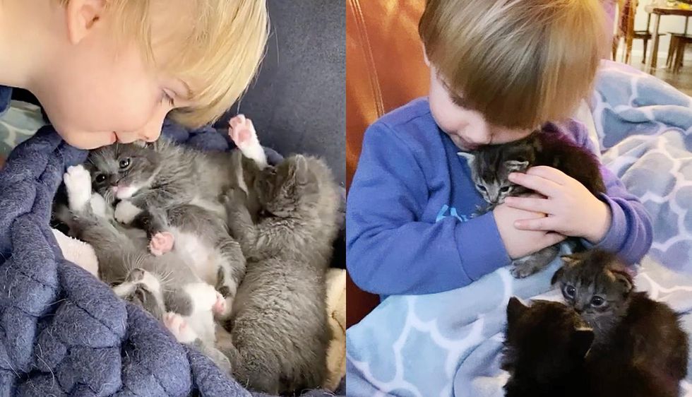 Kittens Find Cutest Little Caretaker Who Has Been with Cats Since He was Born