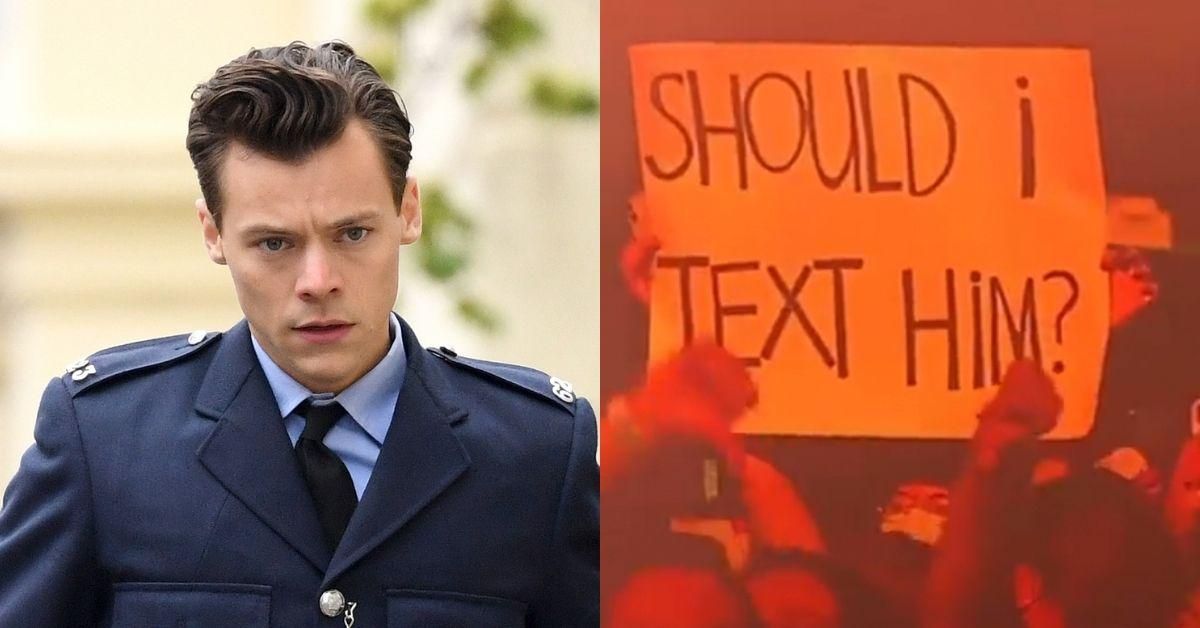 Harry Styles Stops Concert To Give A Fan Dating Advice—And The Crowd Goes Absolutely Wild